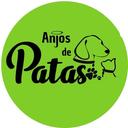 Anjos de Patas Parintins