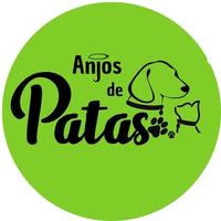 Anjos de Patas Parintins