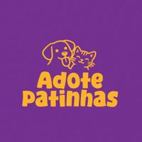 Projeto 100 Voluntário/ do Resgate a Adoção