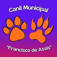 Canil Municipal Francisco de Assis