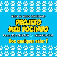 Projeto Meu Focinho