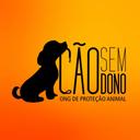 Cão sem Dono
