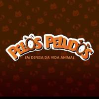 Pelos Peludos Almenara - Animais de Rua