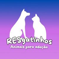 RESgatinhos Manaus