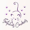 Gatinhos Candeias