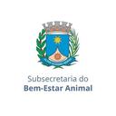 Bem-Estar Animal Araraquara