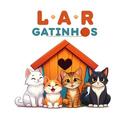 Lar Gatinhos Sorocaba Adoção