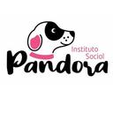 Instituto Pandora