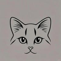 Miaudote