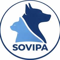 Sociedade Viçosense de Proteção aos Animais