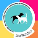 ResGatinhos da Lú Guanambi