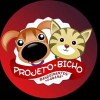 Projeto Bicho Proteção Animal