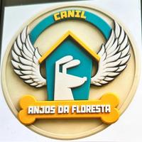 Anjos da Floresta
