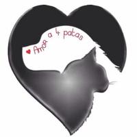 Amor a 4 Patas