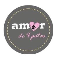 Amor de 4 Patas Canoas