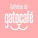Gatinhos do Downtown