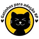 Gatinhos para Adoção RP