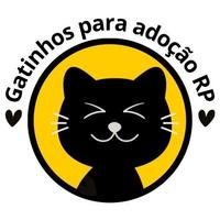 Gatinhos para Adoção RP