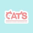 Cats Maceió