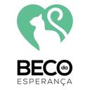 Beco da Esperança Gatinhos p/ Adoção