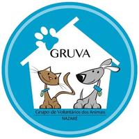 GRUVA - Nazaré