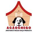 ACãochego Tatuí/SP