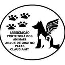 Associação Protetora dos Animais - Anjos de 4 Patas