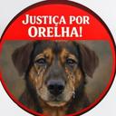 AMA - Concórdia/SC
