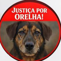 AMA - Concórdia/SC