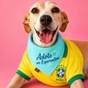 Adote em Esperantina
