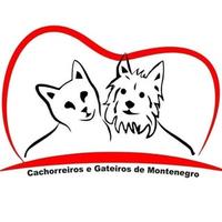 Cachorreiros e Gateiros