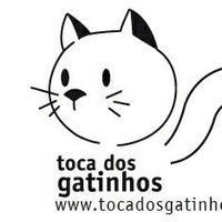 Toca dos Gatinhos