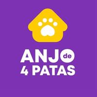 Anjo de 4 Patas