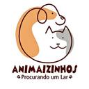 Gatos pra Adoção