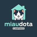 Miaudota Campinas