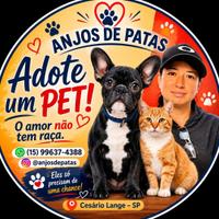 Anjos de Patas Cesário Lange