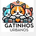 Gatinhos Urbanos