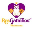 ResGatinhos - Blumenau
