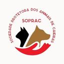 Sociedade Protetora dos Animais de Caiei