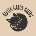 Adota Gatos Bauru