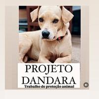 Projeto Dandara