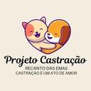 Projeto Castração de Animais de Rua