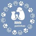 Adotte Patinhas Horizonte/CE