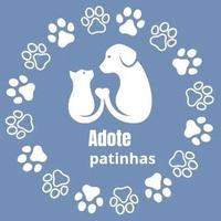 Adotte Patinhas Horizonte/CE