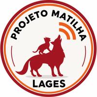 Projeto Matilha Lages