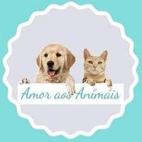 Amor Animal Cats & Dogs