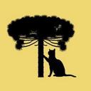 Gatos Curitibanos - Adoções