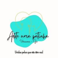Adote uma Patinha
