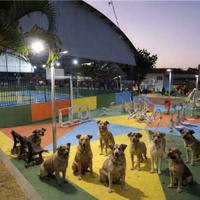 Apoio Animal CB