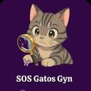 SOS Gatos Gyn - Projeto Voluntário In